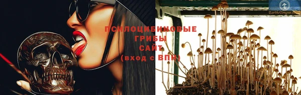 крисы Заволжск