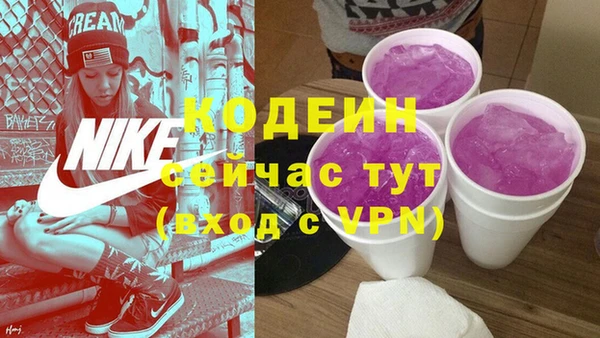 твердый Заводоуковск