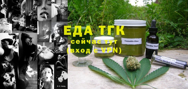 твердый Заводоуковск