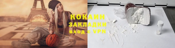 твердый Заводоуковск