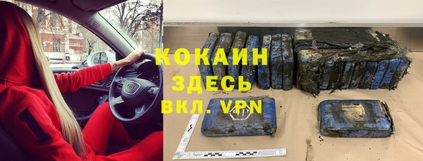 твердый Заводоуковск