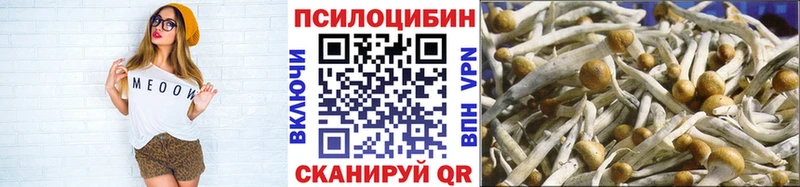 Купить  Михайловск  Псилоцибиновые грибы Psilocybine cubensis 